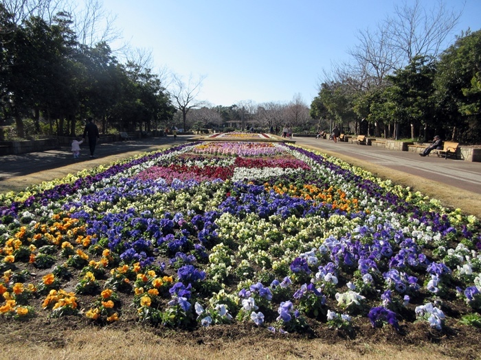 【お散歩長久保公園】富士山を求めて_b0009849_15554404.jpg