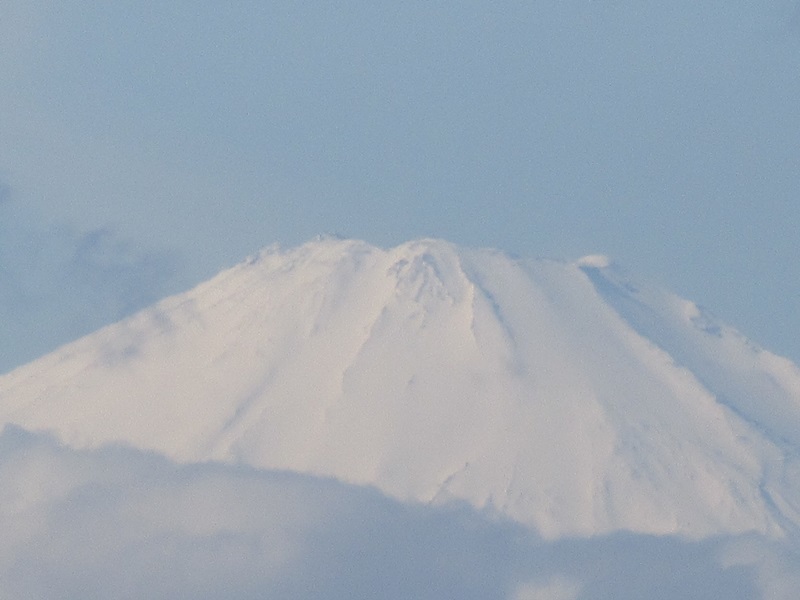 【お散歩長久保公園】富士山を求めて_b0009849_15591851.jpg