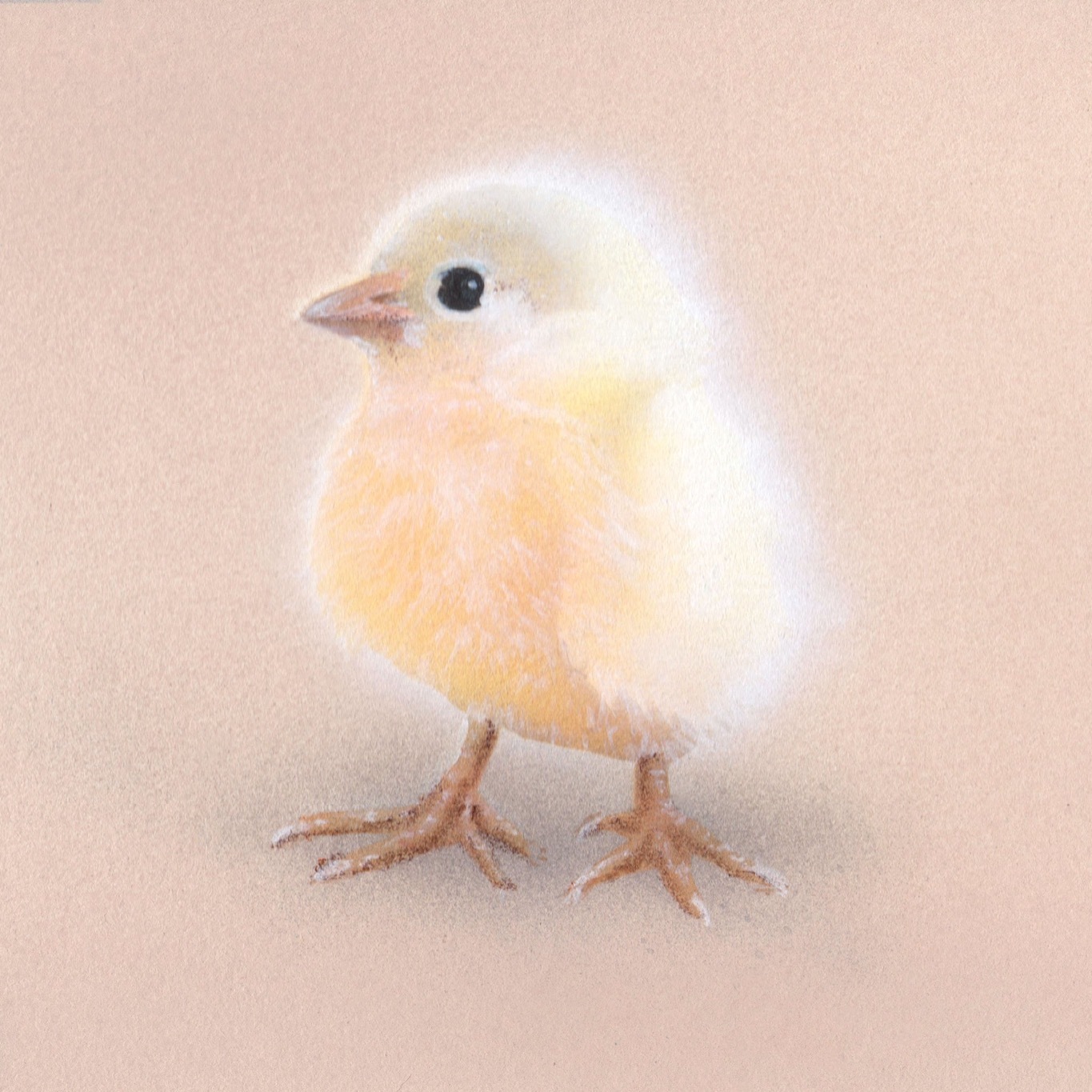 毎日一絵チャレンジ】#アクリル画「ひよこ ver.1.3」#メイキング 毎日一絵チャレンジ】#アクリル画「ひよこ ver.1.3」#メイキング