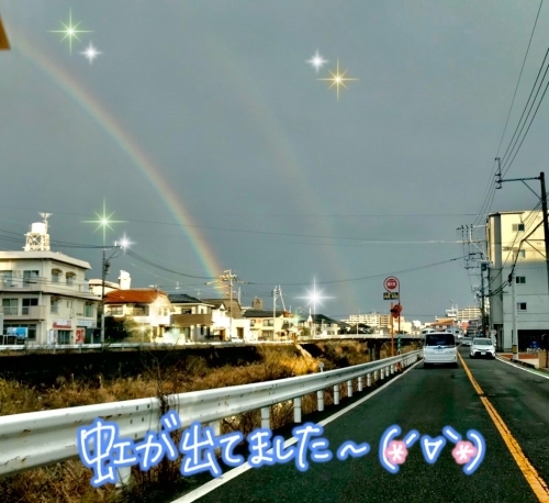 雨降り☔🐸_f0357682_10354012.jpg
