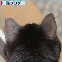 後頭部は語る_a0389088_08143507.jpg