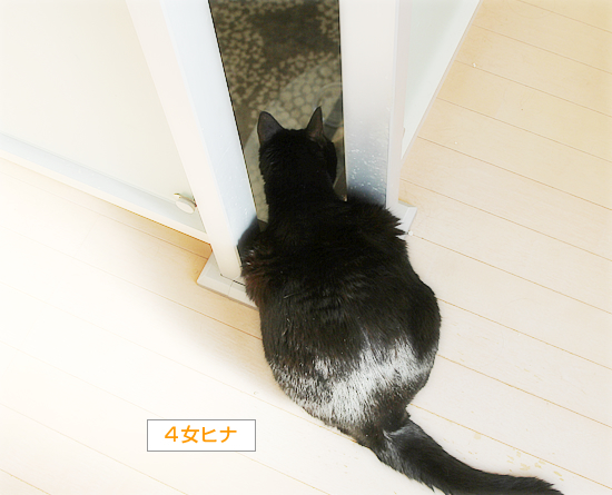 後頭部は語る_a0389088_08143511.jpg