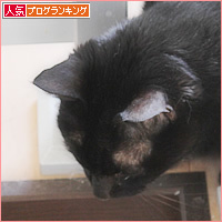後頭部は語る_a0389088_08143521.jpg