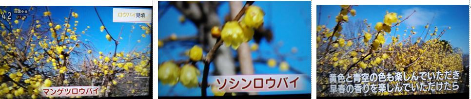 一年は二十四節気の 立春 から 大寒 と気象庁の四季 2020 1 20 徳ちゃん便り