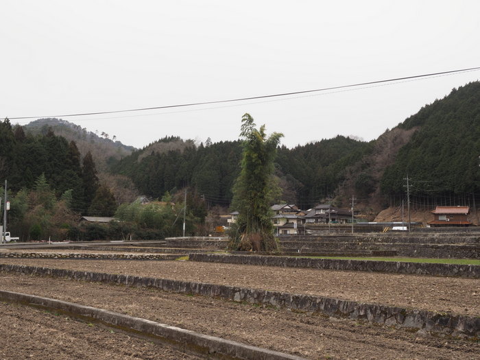 とんど_c0116915_00105034.jpg