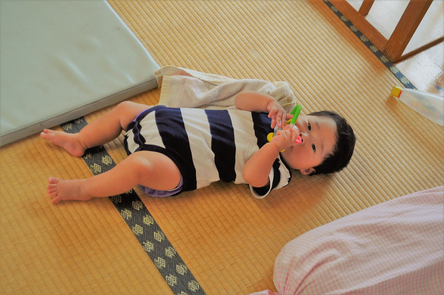 野原の子クラスの様子_a0323443_16133277.jpg