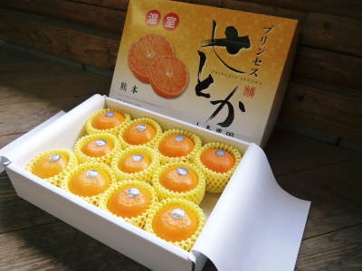究極の柑橘「せとか」 令和2年も出荷は2月中旬より!収穫まで1ヶ月前の様子を現地取材(後編)_a0254656_16355462.jpg