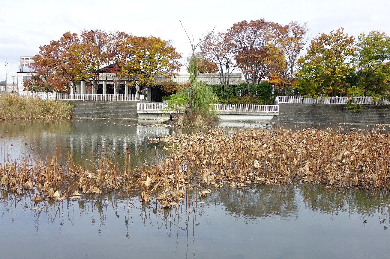 高槻市立小寺池図書館 レトロな建物を訪ねて 高槻市立小寺池図書館 レトロな建物を訪ねて