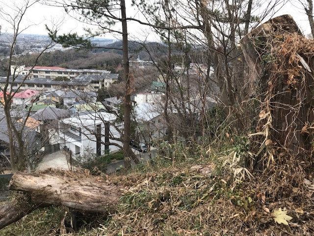 見通し調査と植栽木の成長量調査実施1・19六国見山手入れ_c0014967_15395667.jpg