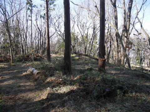 見通し調査と植栽木の成長量調査実施1・19六国見山手入れ_c0014967_16090401.jpg