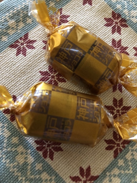 八朔を収穫_a0394574_00091973.jpeg