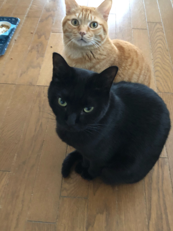 仲良しっぽいフタリ_e0355177_07584753.jpg