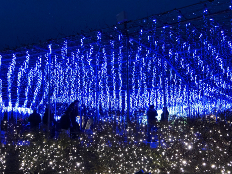 仲良しっぽいフタリ_e0355177_07590064.jpg