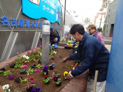 ガーデンふ頭総合案内所前花壇の植替えR2.1.17_d0338682_09205344.jpg