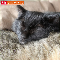 新しいカップル_a0389088_16202529.jpg