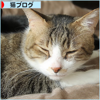 新しいカップル_a0389088_16202588.jpg