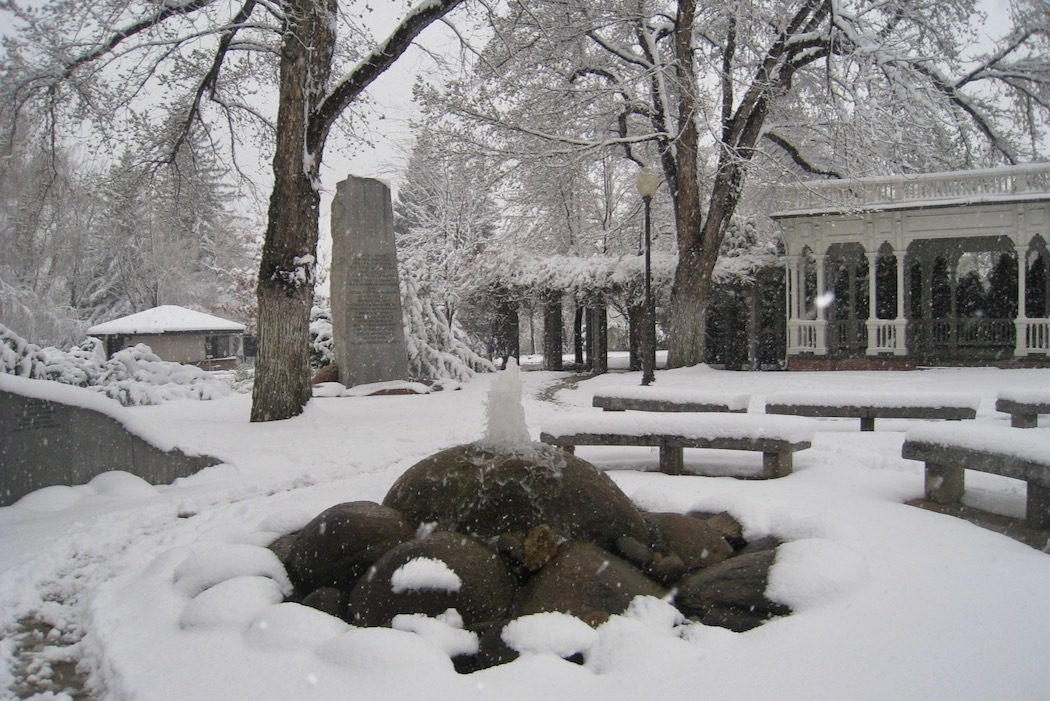 ネバダ大学リノ校の白鳥 Memento Vivere