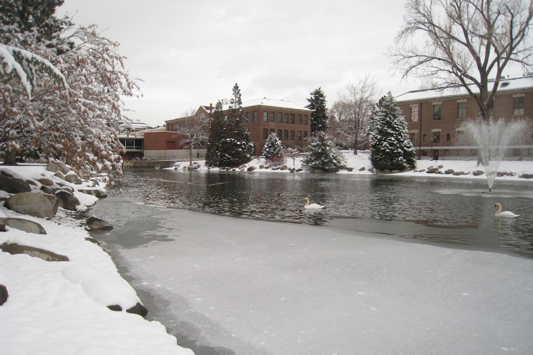 ネバダ大学リノ校の白鳥 Memento Vivere