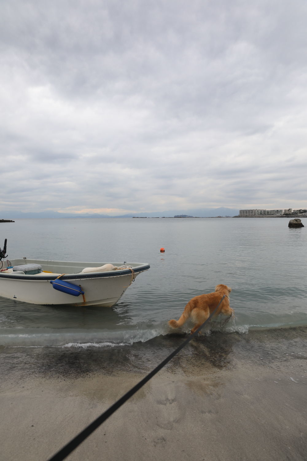 初めての葉山の海♪_b0275998_08511918.jpg