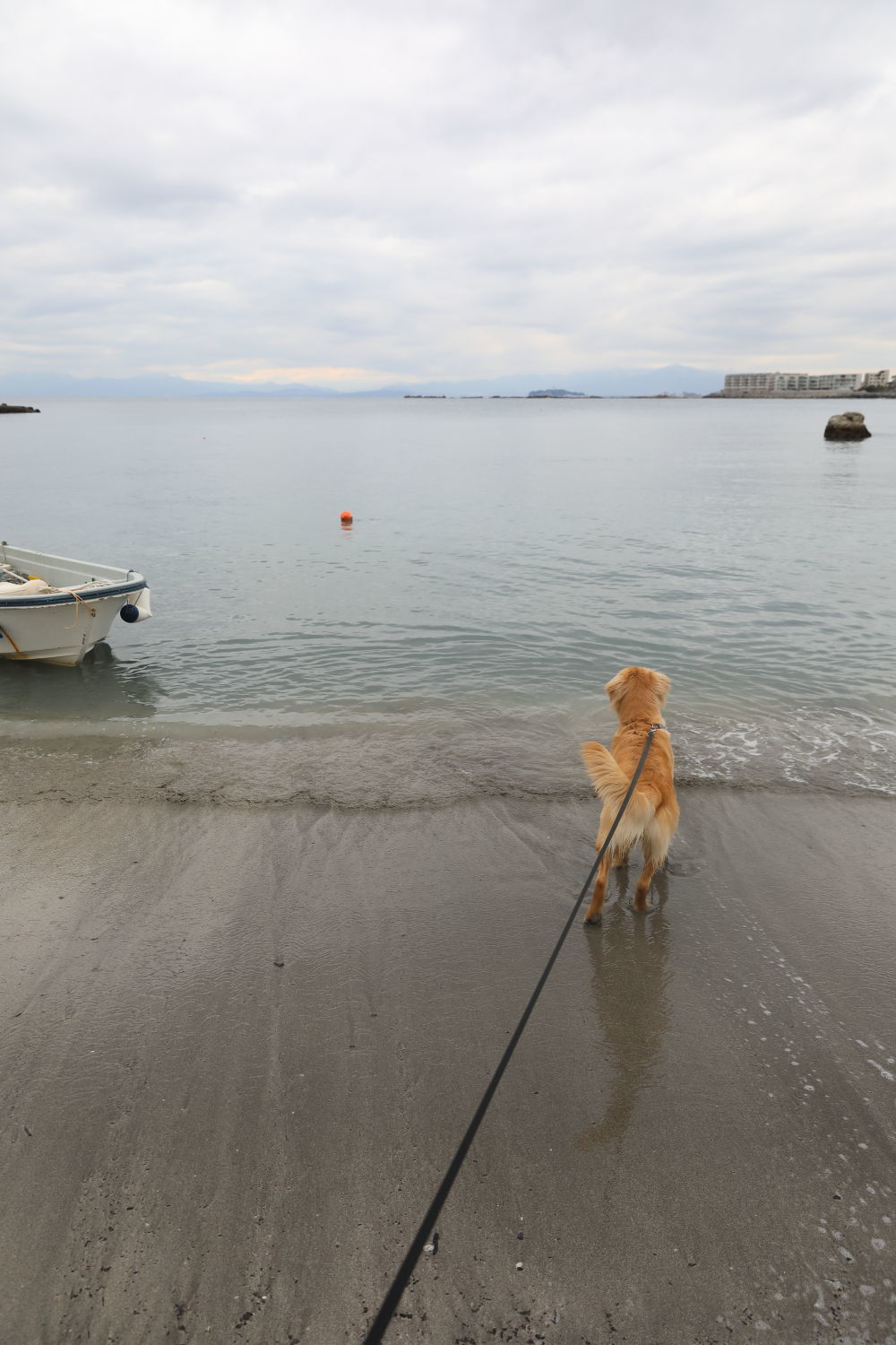 初めての葉山の海♪_b0275998_08512134.jpg