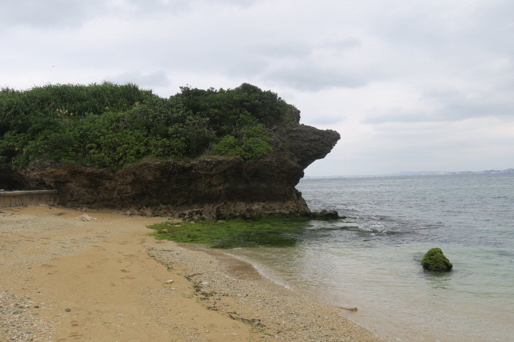 ファーム 大人の修学旅行2020 3日目_c0132901_18201292.jpg