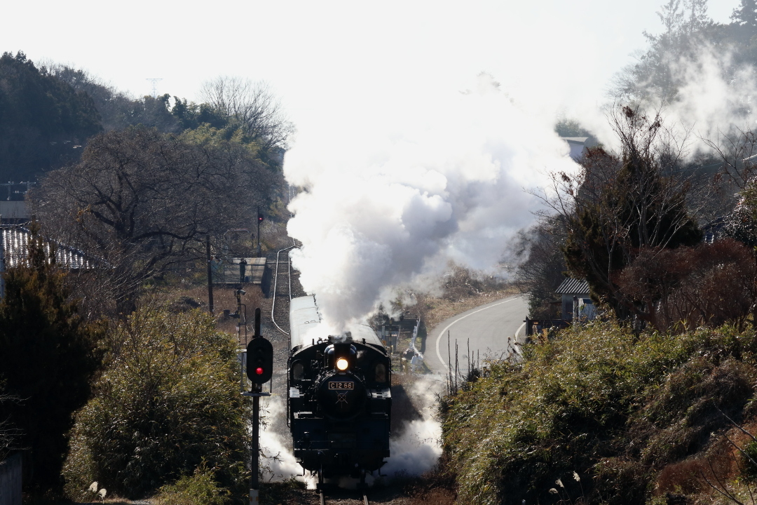 白い煙が迫る - 2020年冬・真岡鉄道 -_b0190710_22113528.jpg