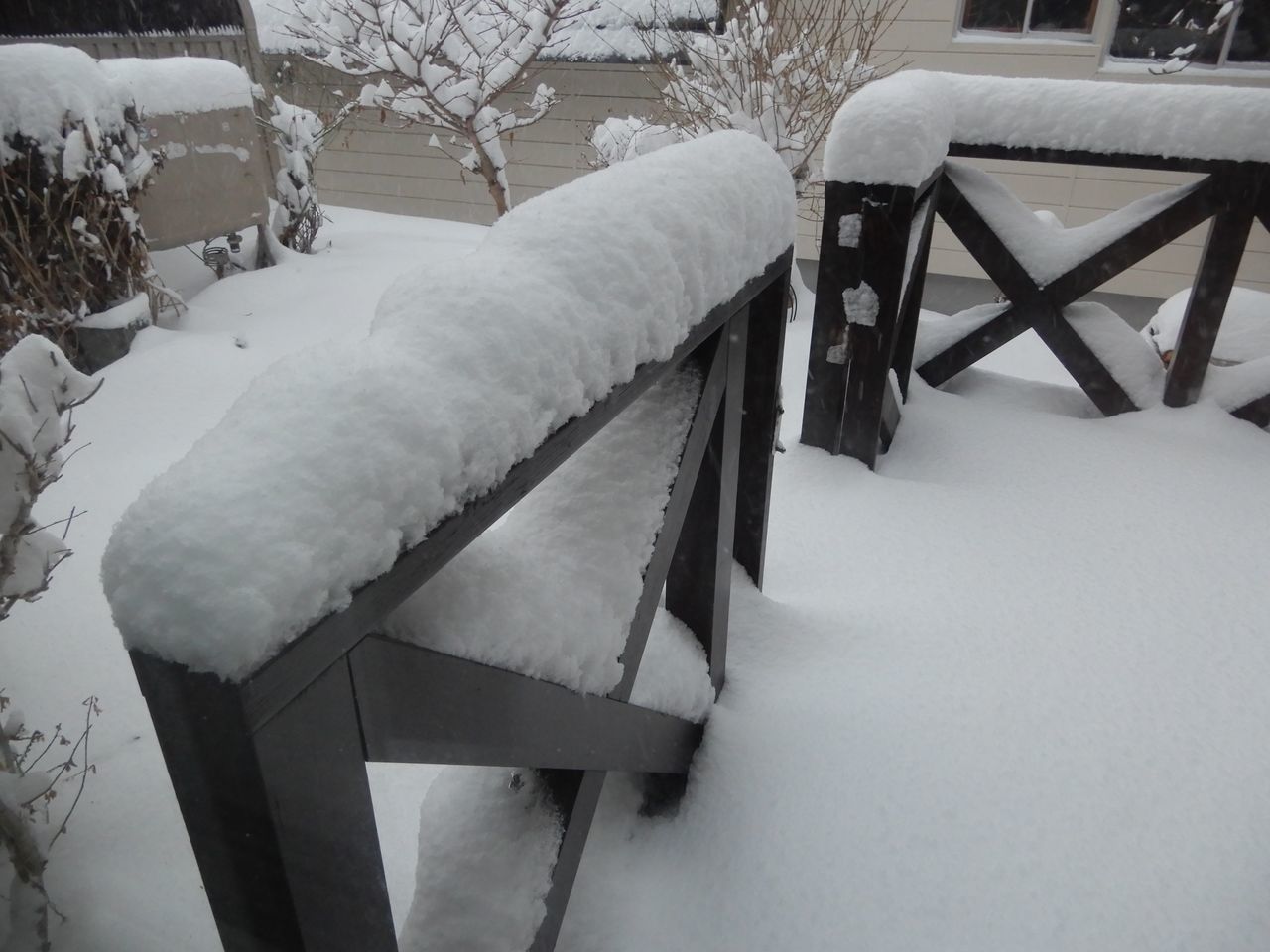 「ドカ雪」降りました_c0025115_21312766.jpg
