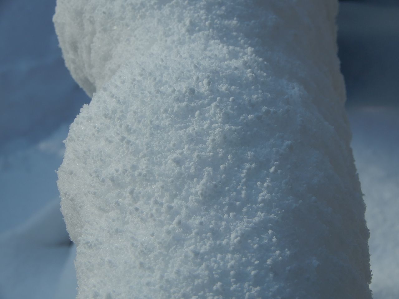 「ドカ雪」降りました_c0025115_21451257.jpg