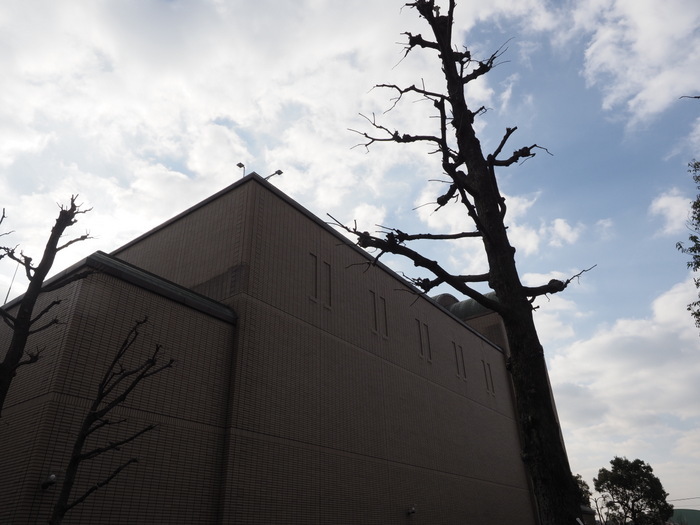 佐伯区民文化センター&五日市中央公園_c0116915_23595966.jpg