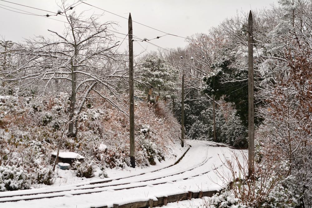 雪景色 2018年末 京都市電線路_e0373930_20525633.jpg