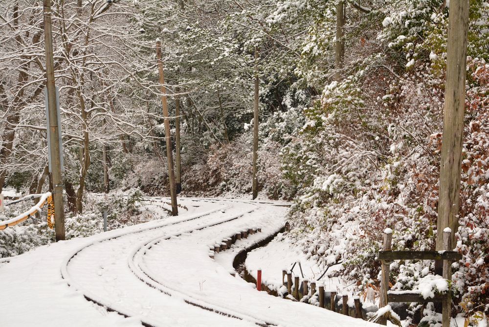 雪景色 2018年末 京都市電線路_e0373930_20525645.jpg