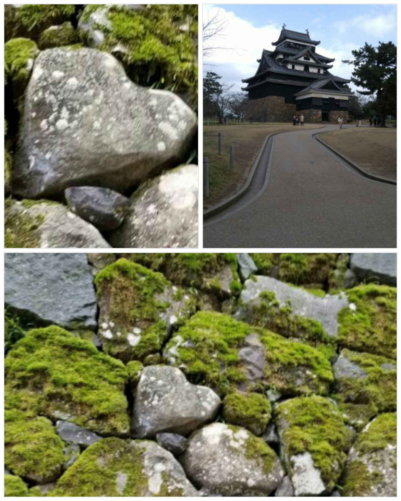 待望の足立美術館と出雲大社バスツアー🎵_f0361132_17264142.jpg