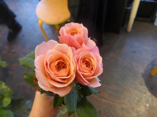花修行~「鮨 波やし」さんの2020年1月のお花~_f0232060_16135766.jpg