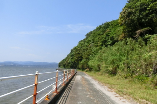 ２０２０年はひさしぶりに・・・_b0332867_09405023.jpg