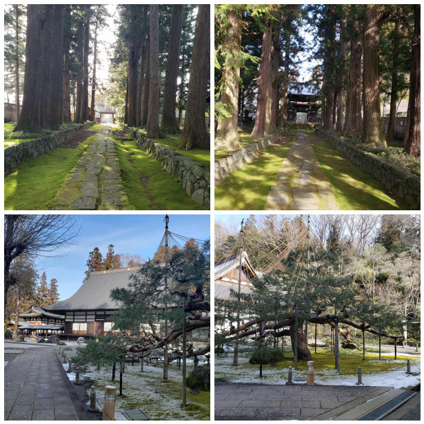2020年お初の旅♪NO1_a0077673_23521898.jpg