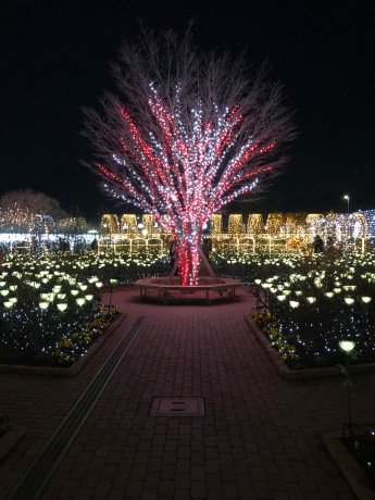 冬のツアー①_e0355177_21483051.jpg
