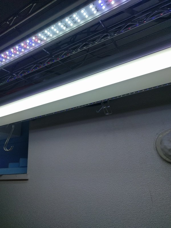 天井用のLED照明ってジメジメ系で使えるの？_a0067578_13234080.jpg