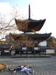 四つ葉のクローバー_e0405685_01461435.jpg