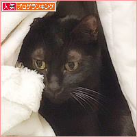 驚きの共通点_a0389088_04104506.jpg