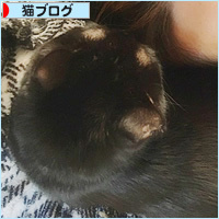 驚きの共通点_a0389088_04104573.jpg