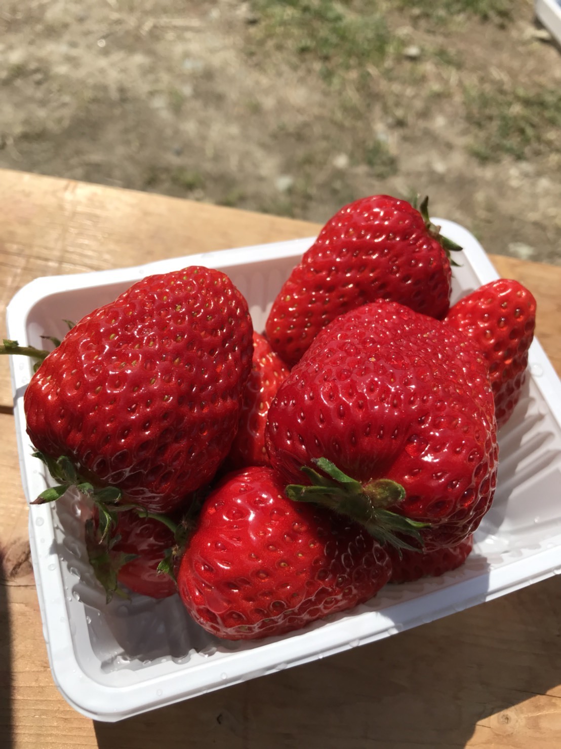 人から人へ_d0184114_21292739.jpeg