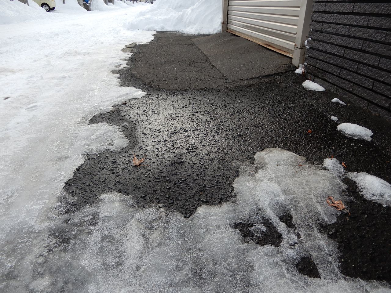ドカ雪のあとは異常な暖気_c0025115_22163111.jpg