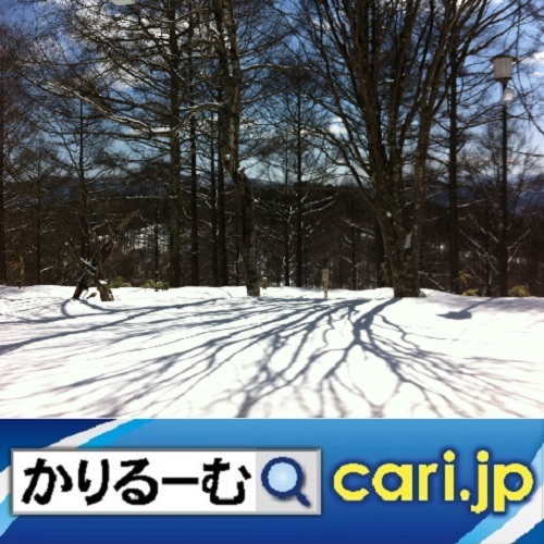 三菱が所有する三つのミュージアム cari.jp_a0392441_21223474.jpg