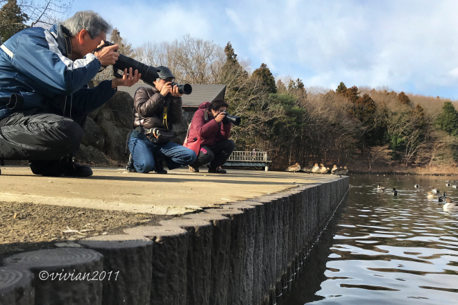 初心者さんじゃなくても撮影会 in 真岡井頭公園_e0227942_22275735.jpg
