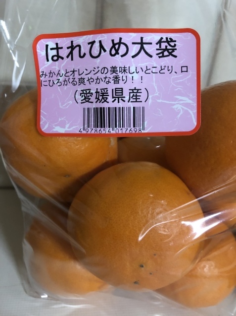 週半ばまで来たけど_a0394574_23403140.jpeg