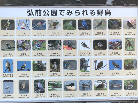 冬のツアー②_e0355177_13192230.jpg