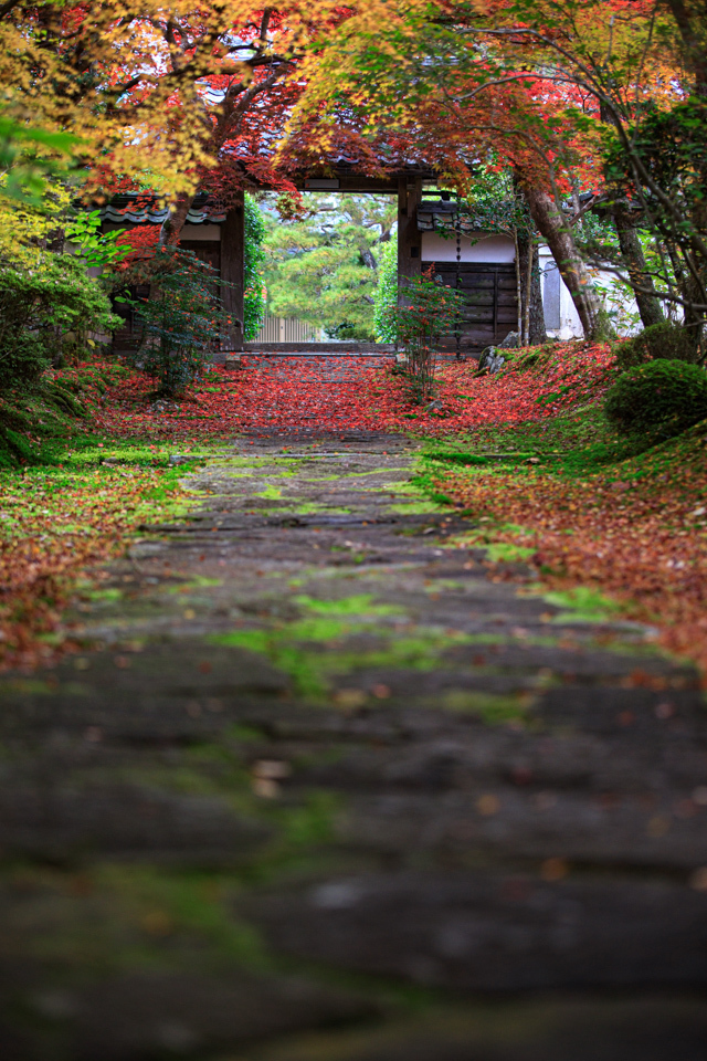 紅葉2019！　　～とあるお寺～_b0128581_18564752.jpg