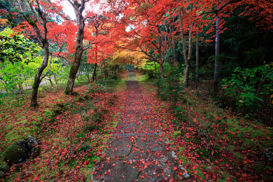 紅葉2019！　　～とあるお寺～_b0128581_18572530.jpg