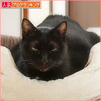 廊下カフェ、プレオープン?_a0389088_15444491.jpg