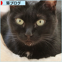 廊下カフェ、プレオープン?_a0389088_15444513.jpg